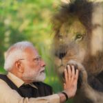 Vantara भारत का अपना जंगल